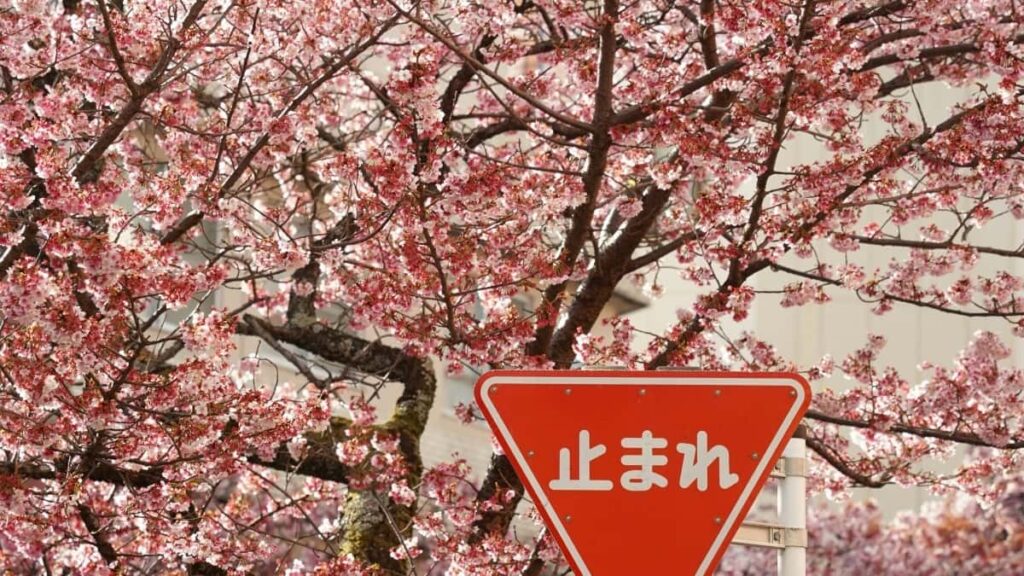 Com col·laborar els bloggers de Twitter dEspanya amb anunciants de Corea del Sud el 2025