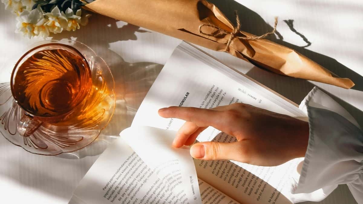 Anunciants a Indonèsia: Prova de Promocions a Petita Escala amb Jingdong