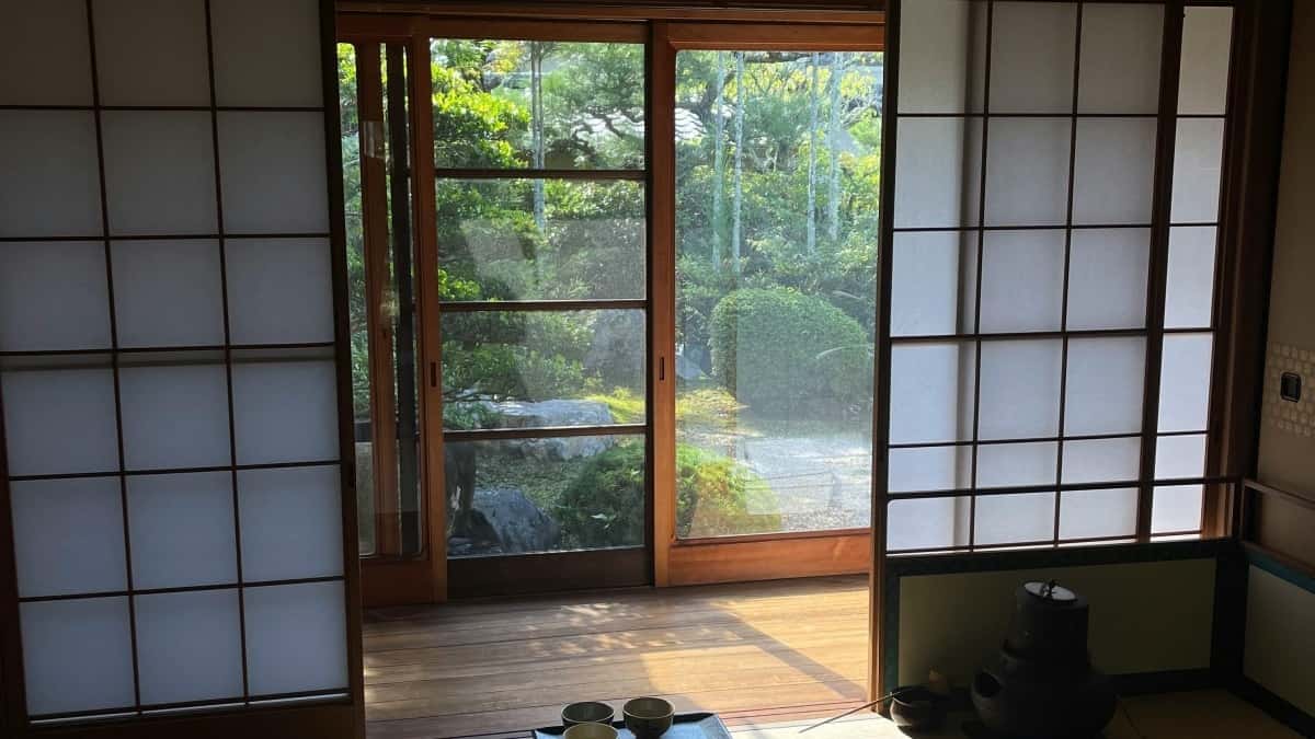 Creadores: marques hongareses a Zalo — com vendre guies