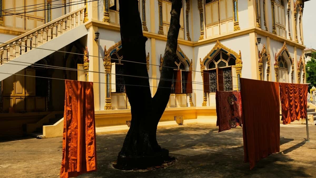 Creators a Espanya: Connecta amb marques xilenes a Jingdong i crea vídeos testimonials