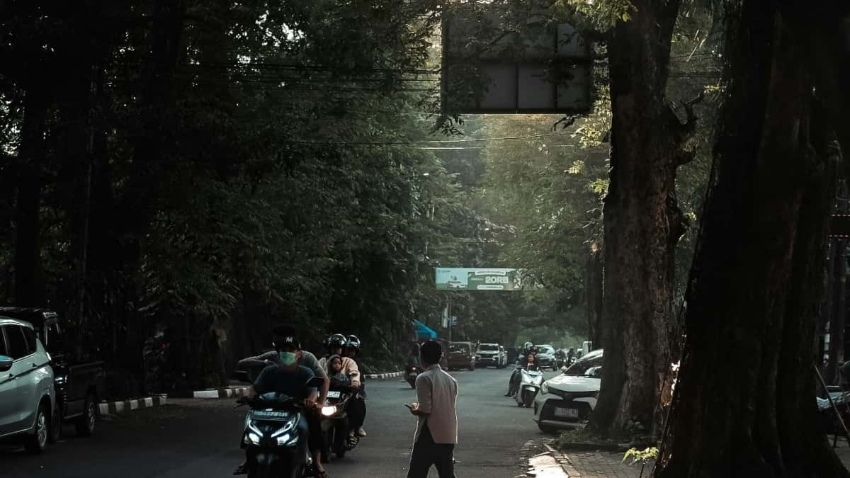 Marca Espanyola? Troba creadors armenis de Rumble per livestreams que enganxin