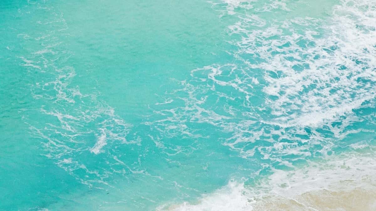 Anunciants a Espanya: Troba creadors de LinkedIn de Costa Rica per campanyes conjuntes