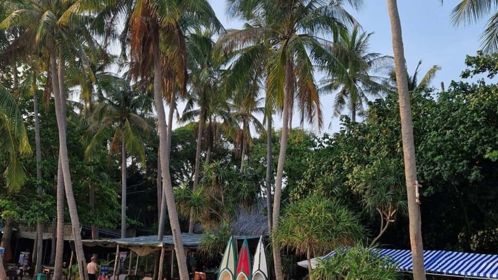 Guia practica per a creadors a Espanya: com trobar i contactar marques d'Equador a Taobao per provar i revisar productes trending.