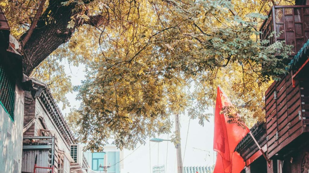 Guia practica per a creadors a Espanya: com trobar i contactar marques d'Estonia a Taobao, presentar-te per campanyes i maximitzar la possibilitat d'apareixer en promocions de marca.