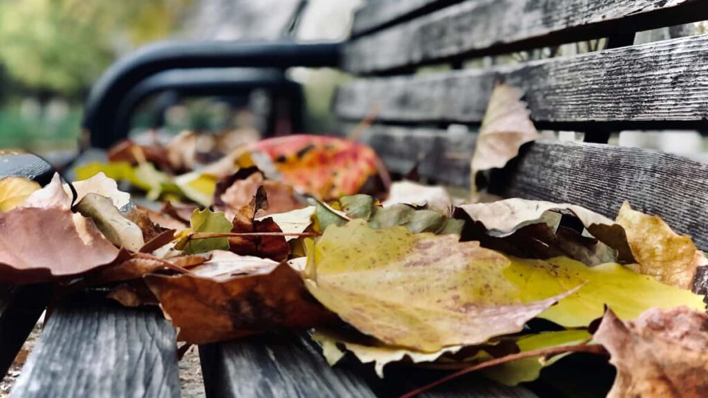 Guia practica per a anunciants a Espanya: com identificar, contactar i activar creadors de Laos a LinkedIn per promocionar linies de cura facial i skincare.