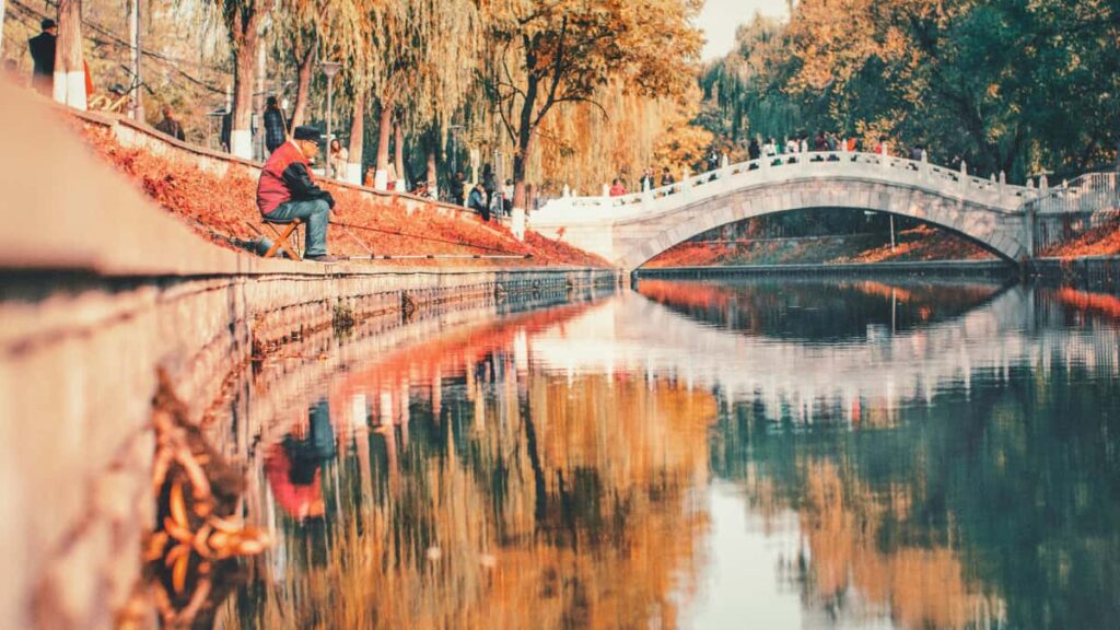 Guia practica per a anunciants a Espanya: com localitzar creadors de Bolivia que parlen de Disney Plus i activar campanyes d'afiliacio amb influencers, riscos i millors practiques.