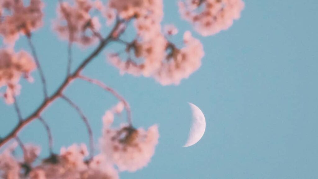 Guia practica per a anunciants a Espanya: on trobar creadors "Portugal Line" per comissions de ressenyes visuals, amb estrategies, plataformes i exemples reals.