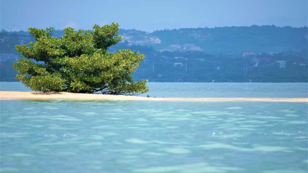 Guia practica per a creadors a Espanya: passos reals per contactar marques de la Republica Txeca via Telegram i convertir-ho en contingut de seguiment per als fans.