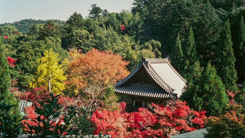 Guia practica per a creators a Espanya: com trobar i contactar marques de Myanmar via Spotify i altres canals per collaboracions d'estilisme amb productes reals.