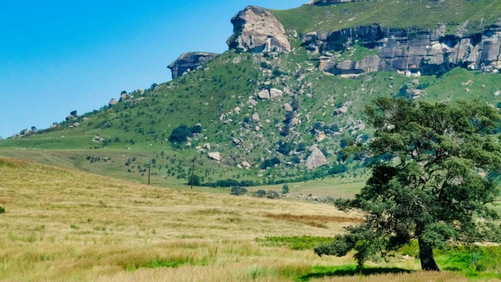 Guia practica per marques d'Espanya que busquen creators de Facebook a la Republica Txeca per promoure linies de skincare.