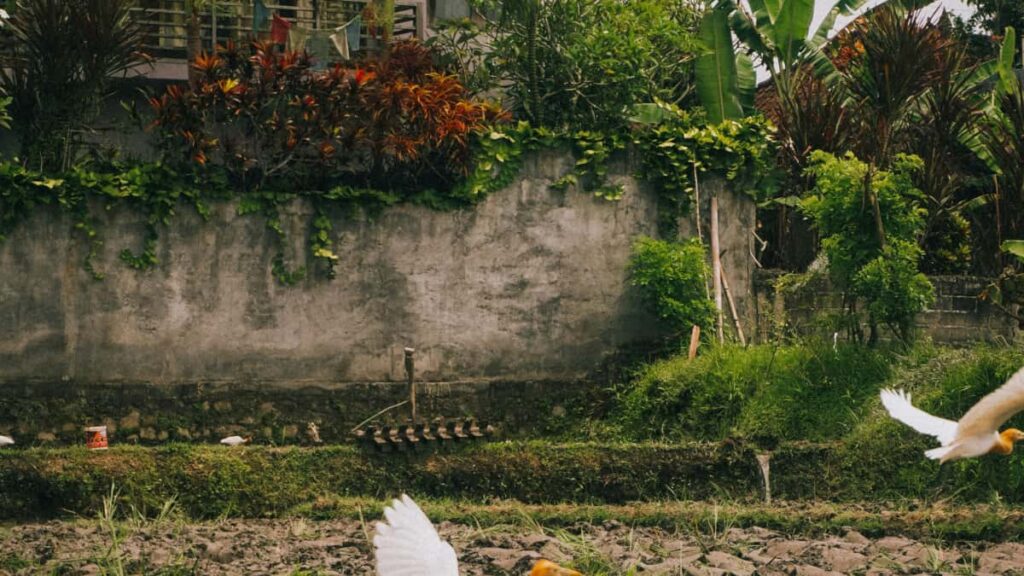 Guia practica per a anunciants a Espanya: com identificar, avaluar i collaborar amb creadors francesos de Disney Plus per localitzar el teu missatge i activar campanyes fullfunnel.