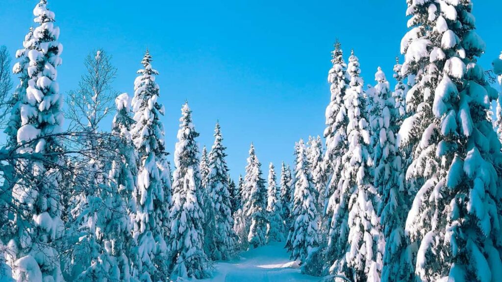 Guia practica per a anunciants a Espanya: com identificar, validar i contractar creadors Roposo a Malta per llancar linies de suplements saludables.