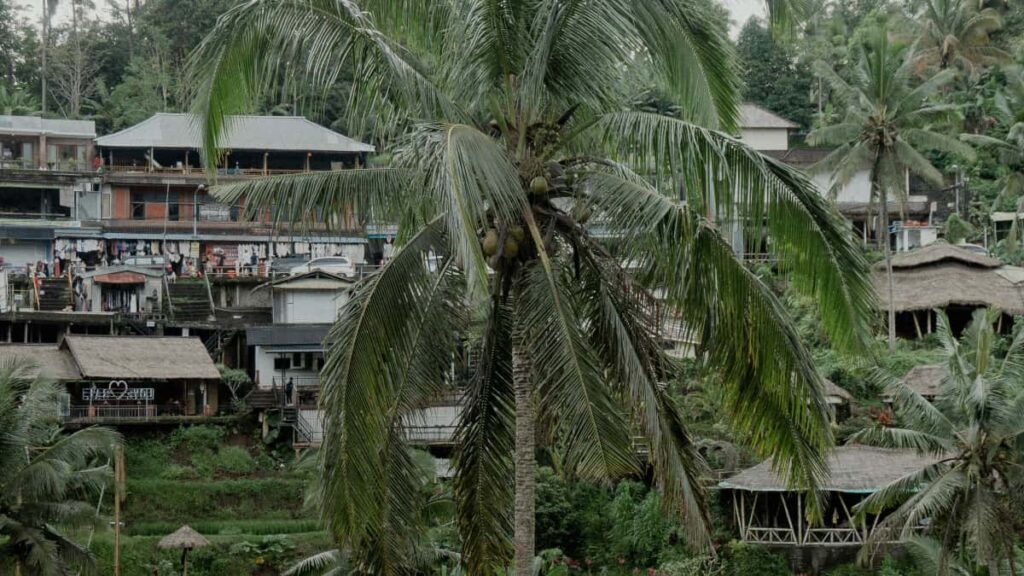 Guia practica per a anunciants a Espanya: com identificar, validar i negociar amb creadores Takatak d'Azerbaidjan per a campanyes d'afiliacio amb resultats reals.