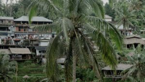 Guia practica per a anunciants a Espanya: com identificar, validar i negociar amb creadores Takatak d'Azerbaidjan per a campanyes d'afiliacio amb resultats reals.