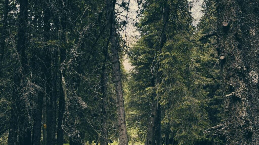 Guia practica per a creadors a Espanya: passos reals per connectar amb marques de Luxemburg i Netflix i co-crear bundles exclusius.