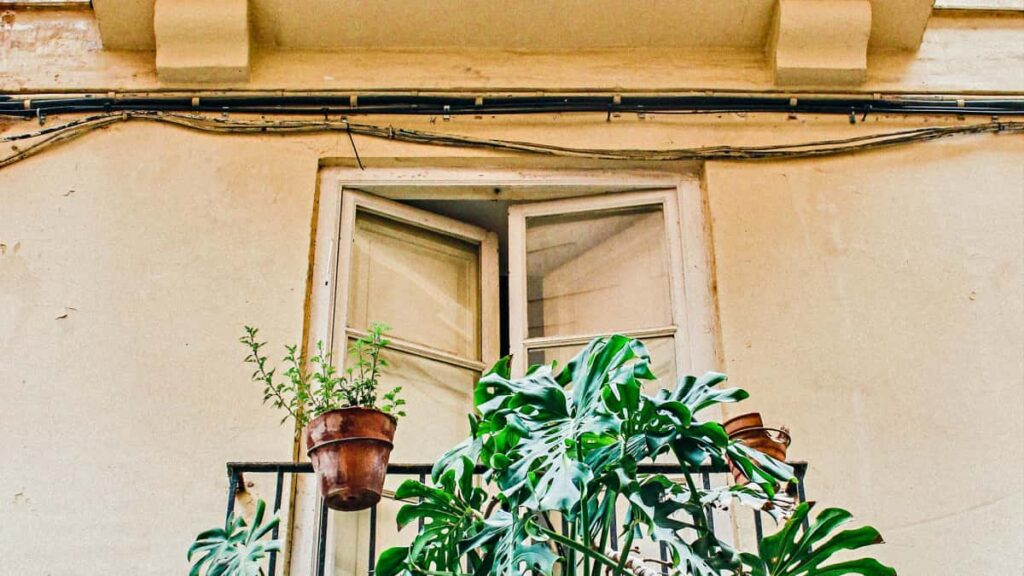 Guia practica per a creadors des d'Espanya: com trobar i parlar amb marques canadencas a Snapchat per negociar pagaments fixes. Estrategia, pitch, NDA i exemples reals.