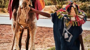 Estrategia practica per a marques d'Espanya: com trobar i collaborar amb creators d'Uzbekistan a Telegram per llancar linies de producte i campanyes rendibles.