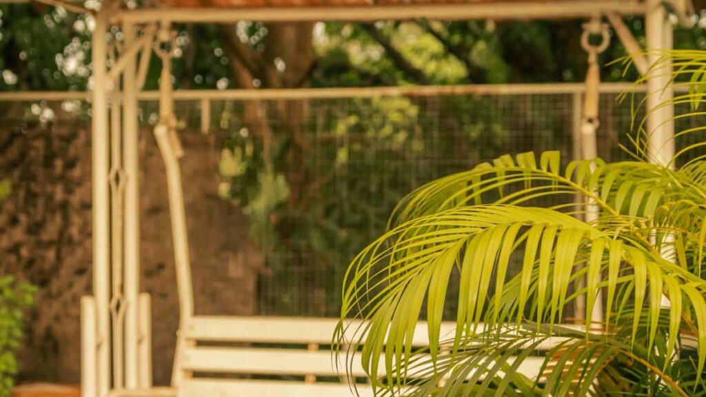 Guia practica per a creadors dEspanya: com localitzar, contactar i convencer marques franceses a Amazon de cedir productes per provar noves funcions de joc.