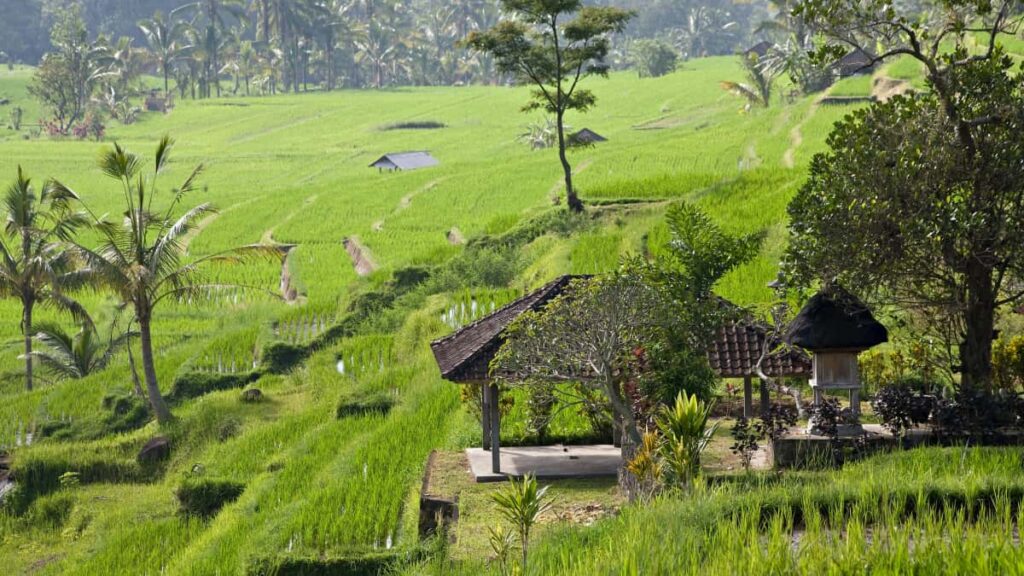 Guia practic per a anunciants a Espanya: com identificar, contactar i activar creadores de LinkedIn al Brasil per a product seeding amb exemples reals i estrategia.